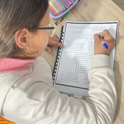 img med merzougui 11